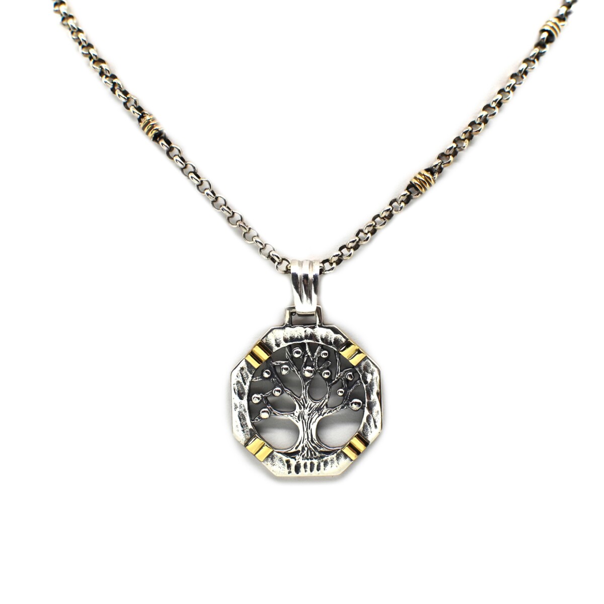 Cadena y Colgante en Oro y Plata 925 