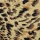 Colaless Eliana Print 4