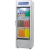 Visicooler Goodweather 250 lts Gw-250 Ef Visicooler Goodweather 250 lts Gw-250 Ef