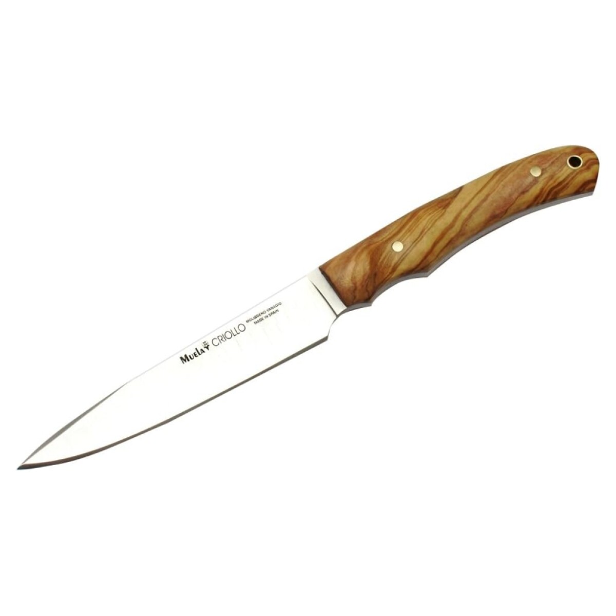 Cuchillo deportivo criollo 14OL 