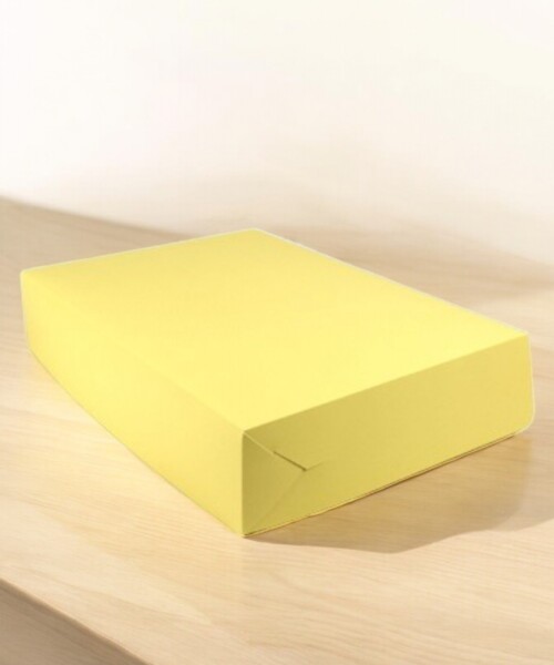 Caja flexi masa 1 kg colores 21x29x6. AMARILLO PASTEL
