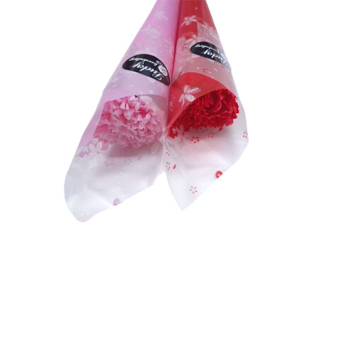 Clavel 2 colores Clavel 2 Colores