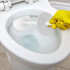 Escobilla Cepillo Inodoro Accesorio Baño Acero Inoxidable IMBACK Color Blanco Escobilla Cepillo Inodoro Accesorio Baño Acero Inoxidable IMBACK Color Blanco