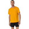 Polo Running Asics Silver SS Top Hombre Yamabuki