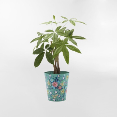 MACETERO FRIDA Celeste - Large