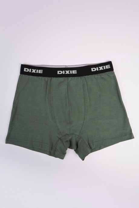 BOXER MERUN DIXIE Militar/gr Osc/navy