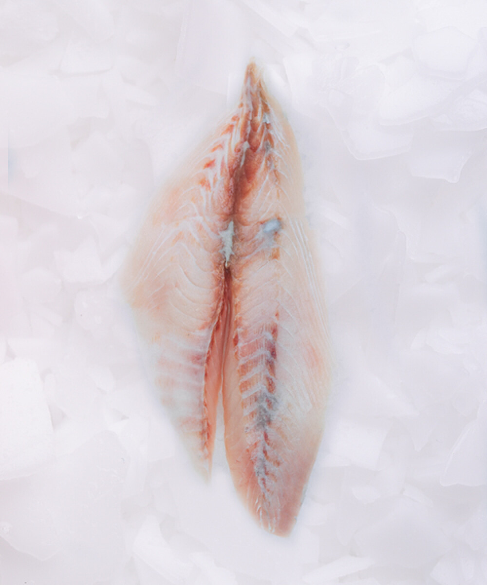 Filete de Palometa - 500 g 