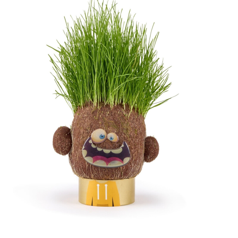 Cabeza de pasto Plant Pals Monsters Hape Happy Hank