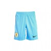 NIKE SHORT ALTERNATIVO AUF Blue