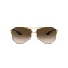 Ray Ban Rb3386 001/13