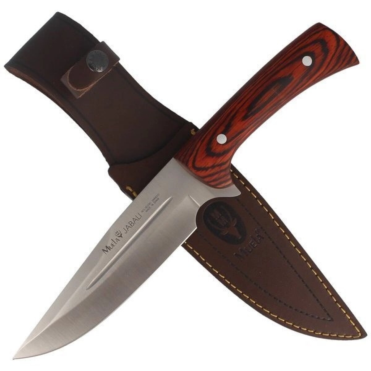 Cuchillo Muela Jabalí 17 E 