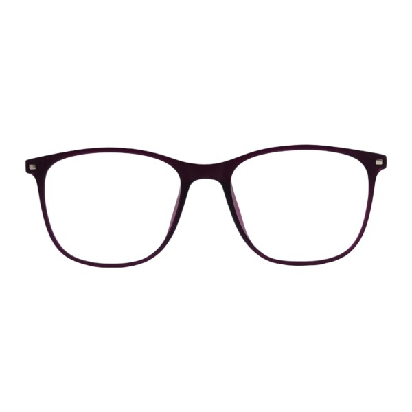 VV316123 violetauniforme