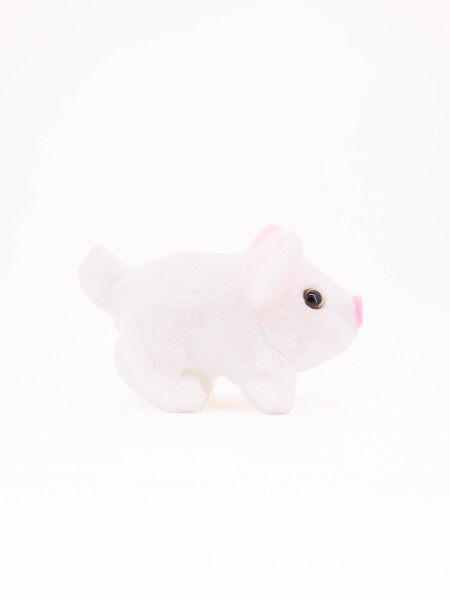 CHANCHO CAMINA A PILAS BLANCO