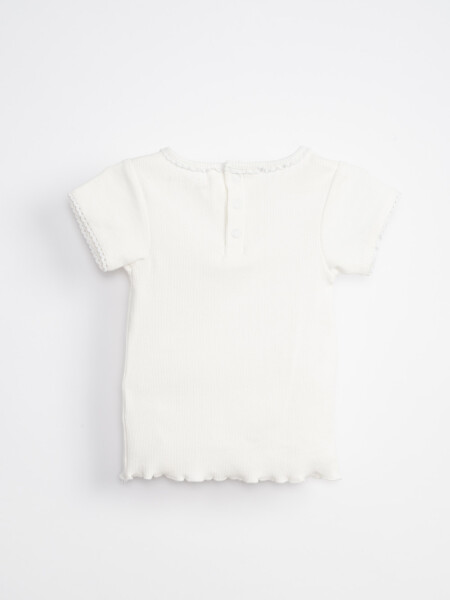 Remera Manga Corta Rib Cruda