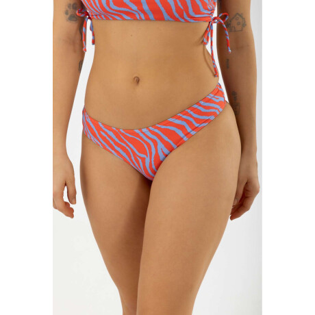 Culotte less rxy cf Zebra coral
