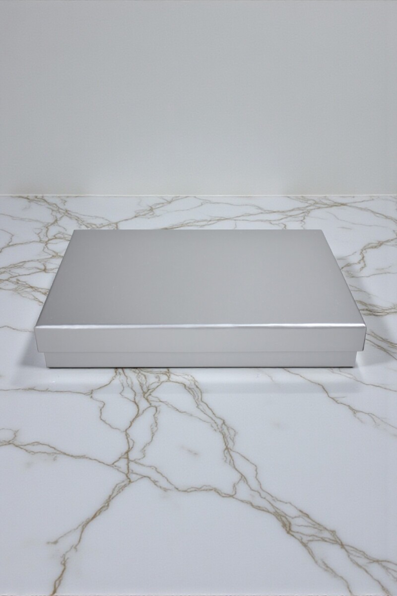 Caja Rigida 32 x 41,5 x9 - PLATA 