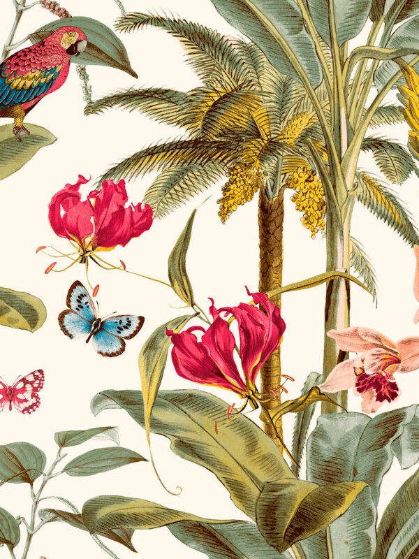 COLECCIÓN JUNGLE FEVER - TROPICAL PALM - ORIGEN BELGA - N/A