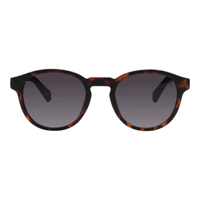 Lentes de Sol Chilli Beans Kuwait Animal Print Matte