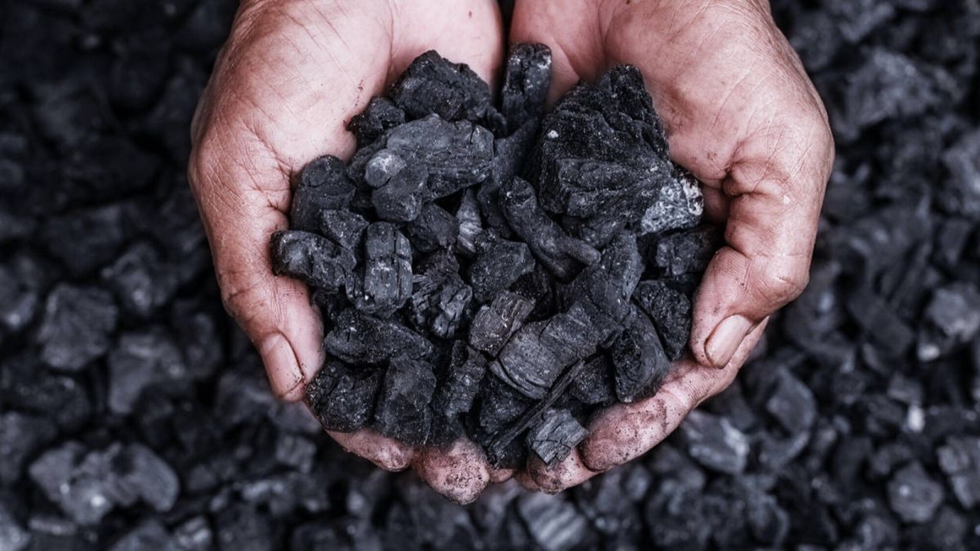 Carbón Vegetal