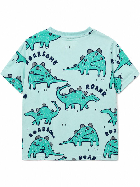 REMERA ABEL VERDE