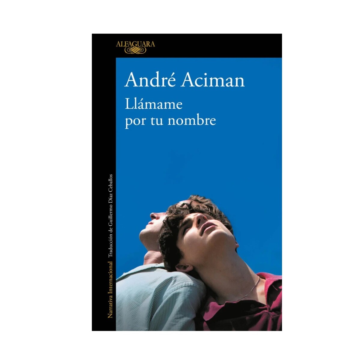 Llámame Por Tu Nombre 