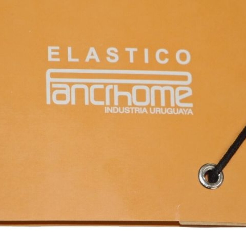 CARPETA PANCHROME CON ELASTICO 307 COLOR BEIGE CARPETA PANCHROME CON ELASTICO 307 COLOR BEIGE
