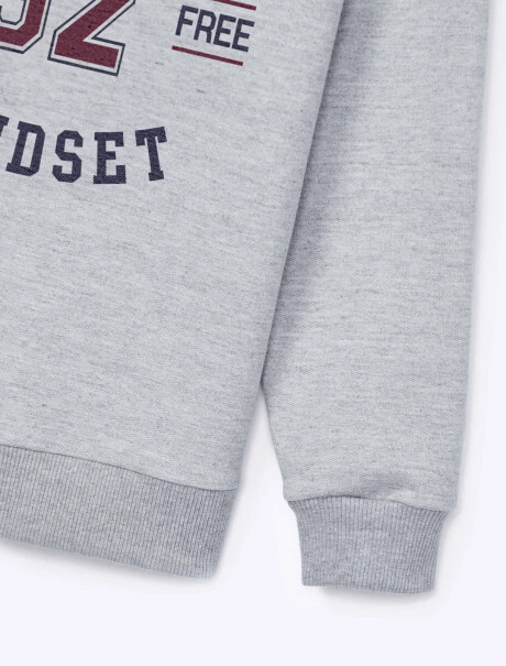 BUZO ESTAMPADO INFANTIL GRIS