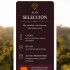 Plan Selección Plan Selección