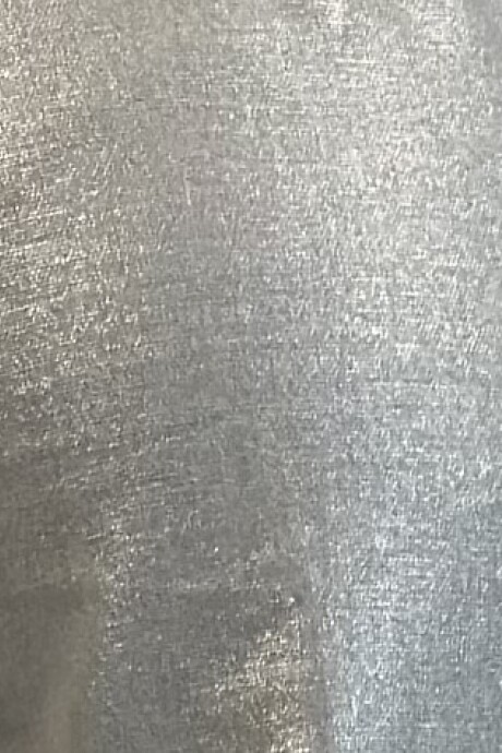 PANTALON METALIZADO CARMELO Plateado