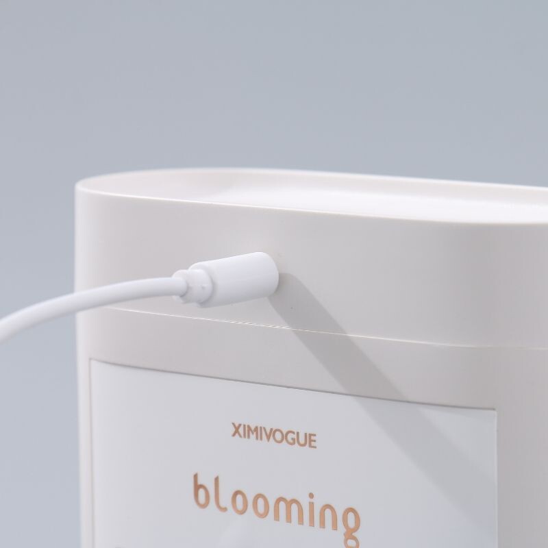 Difusor Estilo Ins Con Soporte Para Flores - Blanco Unica