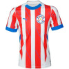 Camiseta Puma Infantil Paraguay Oficial 773407AKV01 Camiseta Puma Infantil Paraguay Oficial 773407AKV01