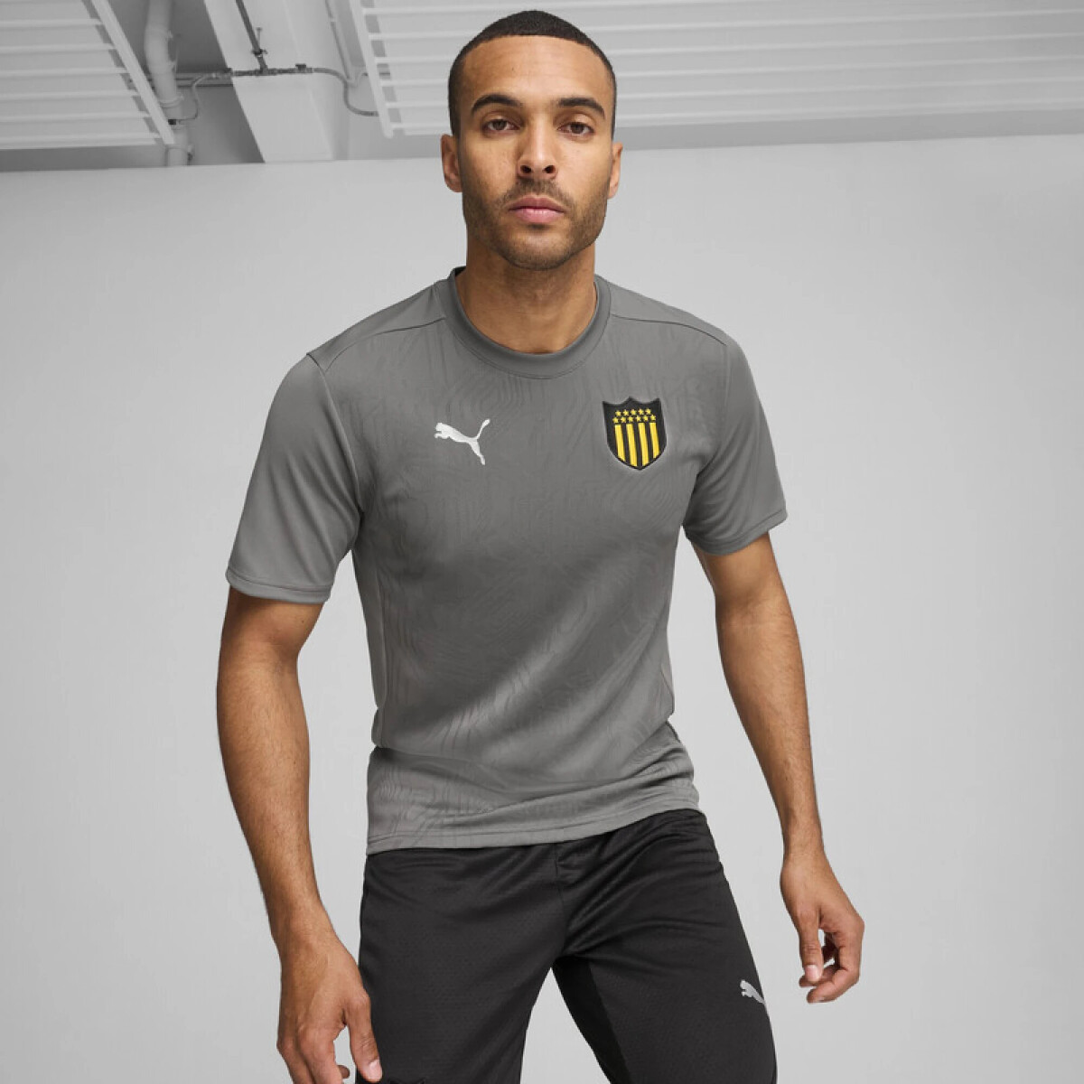 Remera de Hombre Puma Train Peñarol - Gris 