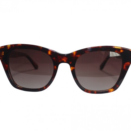 6095 Sol Carey+Marron