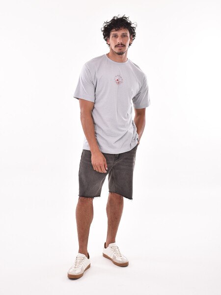 REMERA STREET ESTAMPADO 2