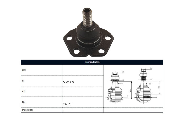 Rotula Del Fiat Ducato, Peug Boxer 87-05 Der/Izq Rotula Del Fiat Ducato, Peug Boxer 87-05 Der/Izq