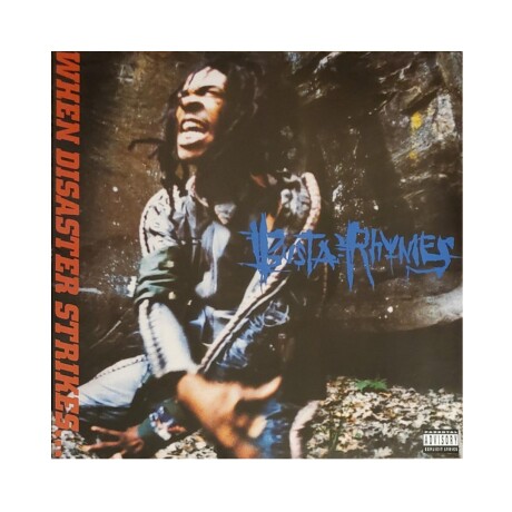 Busta Rhymes / When Disaster Strikes - Vinilo Busta Rhymes / When Disaster Strikes - Vinilo