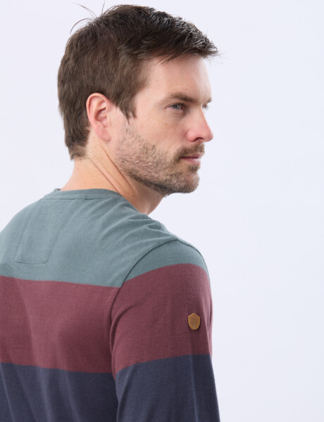 REMERA RAYADA DE ALGODÓN Azul