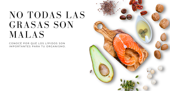Lípidos: tipos de grasas y cuáles priorizar
