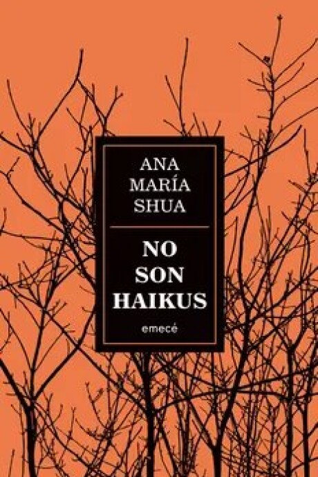NO SON HAIKUS NO SON HAIKUS