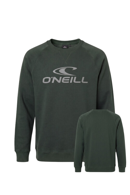 Buzo O'Neill Daily Wave Crewneck Verde