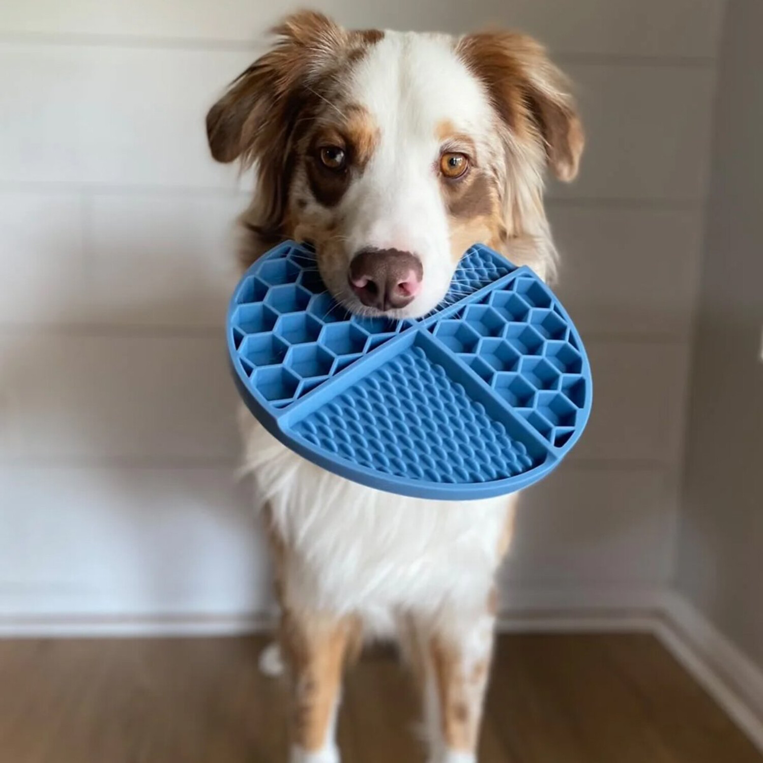 Plato Alfombra Lamer Anti Ansiedad Texturado Perro Gato Variante