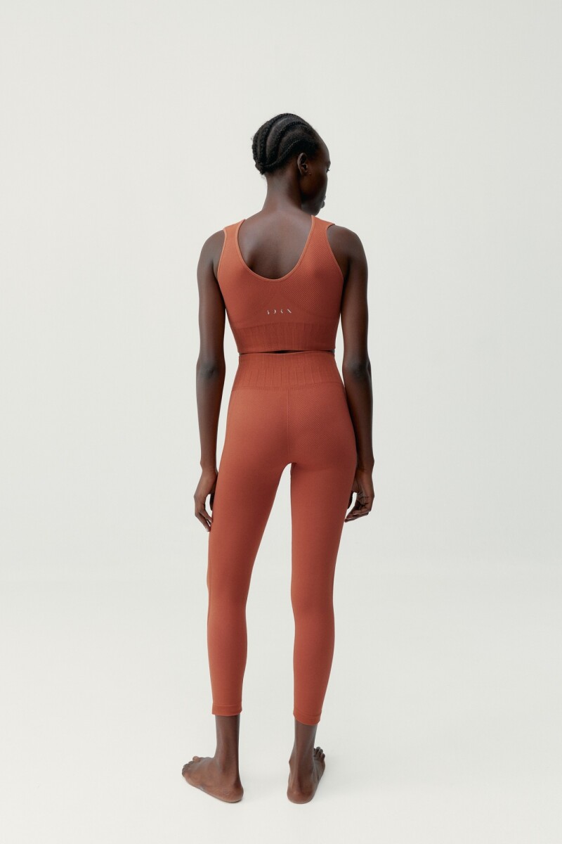 TOP ANNAPURNA Ladrillo