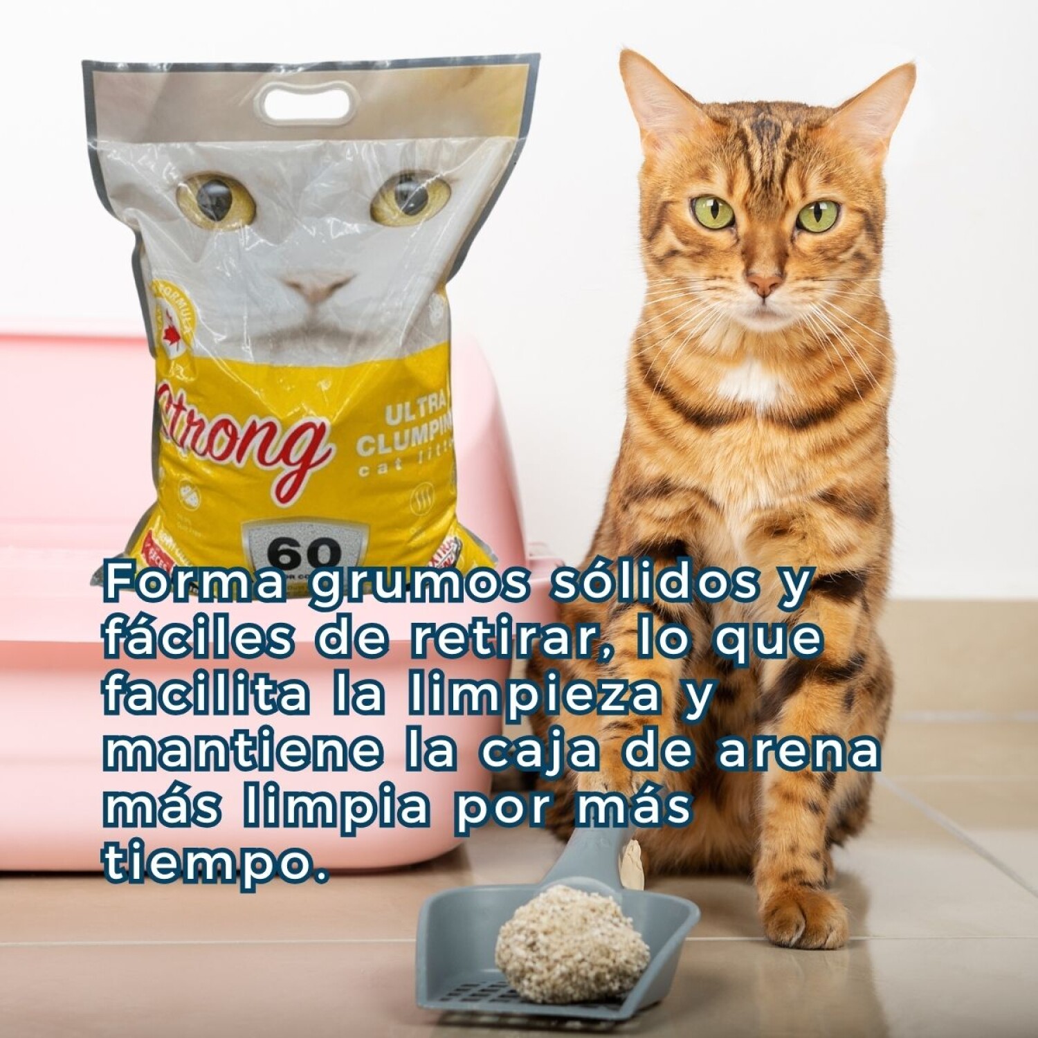 ARENA AGLOMERANTE STRONG KG LIMÓN — Veterinaria Mérida