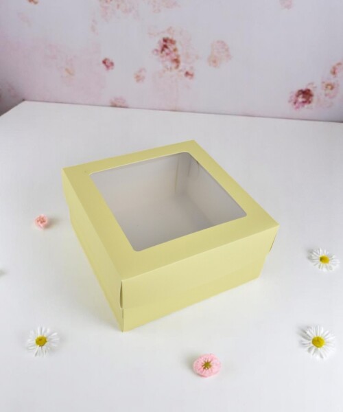 Caja flexi 51 20x20x9,5 c/visor. AMARILLO PASTEL