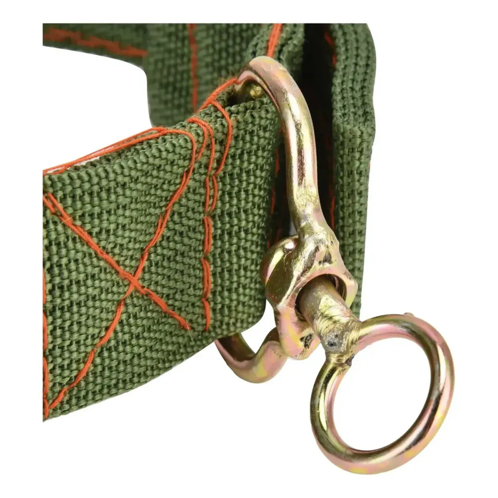 Collar Para Perro Resistente Raza Grande Collar Para Perro Resistente Raza Grande