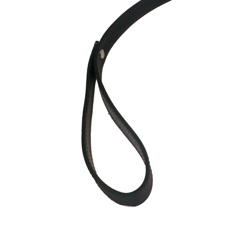 Collar Cuero y Correa Collar Cuero y Correa