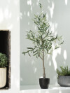 Planta artificial HAVHEST A160cm olivo Planta artificial HAVHEST A160cm olivo