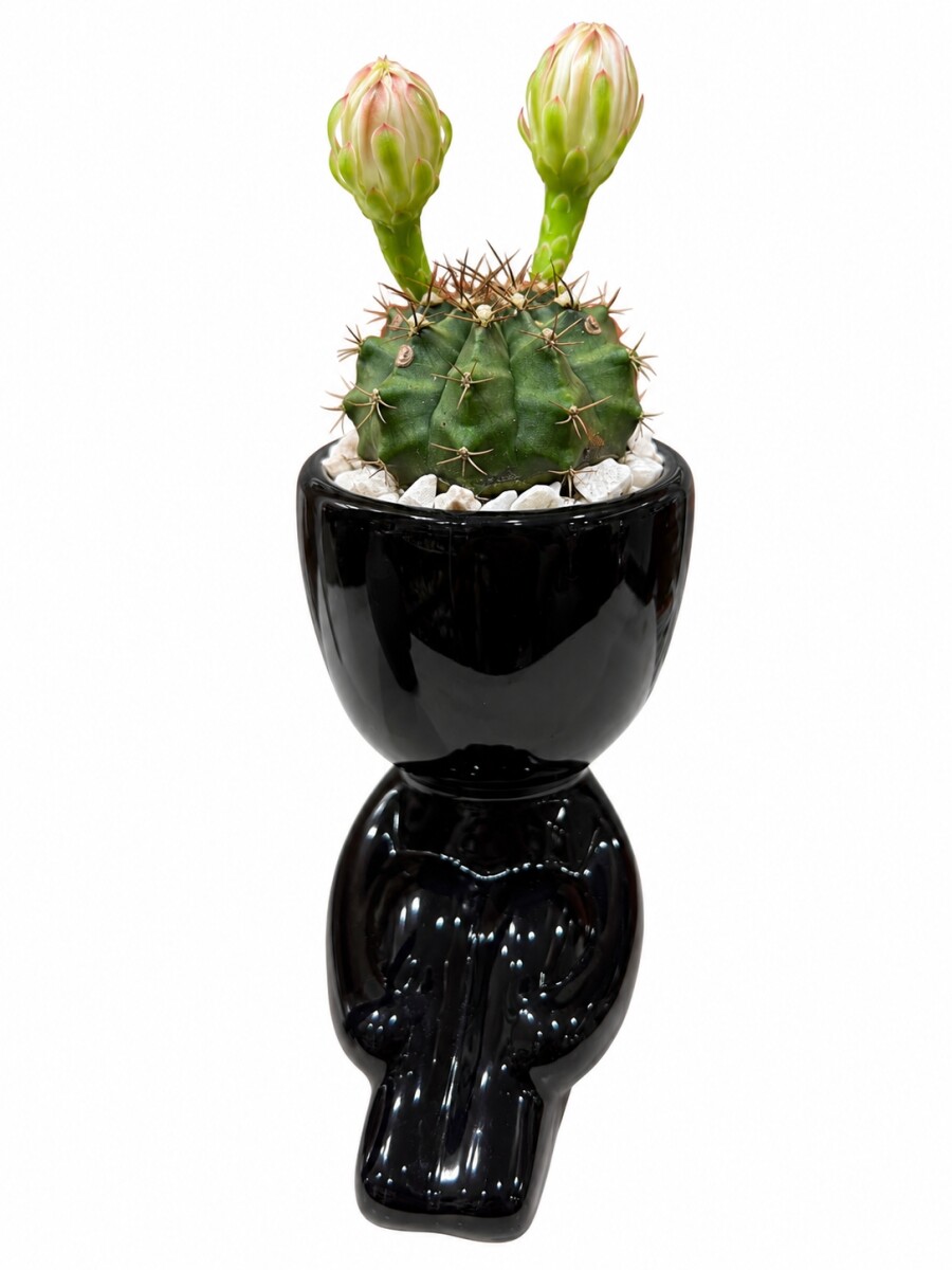 LITTLE PEOPLE CON CACTUS - NEGRO 