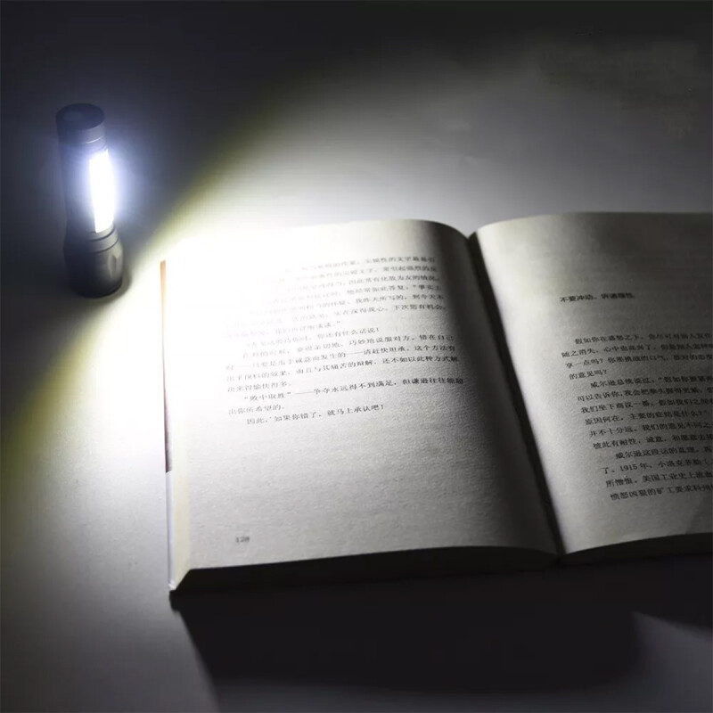 Mini linterna LED con estuche NEGRO