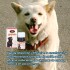 ADIENRO PET`S X FRASCO DE 10 COMPRIMIDOS ADIENRO PET`S X FRASCO DE 10 COMPRIMIDOS
